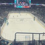 San Jose: San Jose Sharks Ice Hockey Game Ticket - Practical Tips for Attending