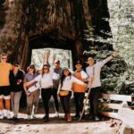 San Jose: Yosemite National Park and Giant Sequoias Trip - Final Thoughts: Who Is This Tour Best For?