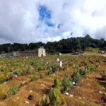 San Juan Chamula & Zinacantan Indigenous Villages Tour - How the Tour Fits into Your Chiapas Journey