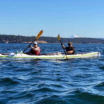 San Juan Island: Full Day Kayaking Tour with Lunch - Who Will Love This Tour?