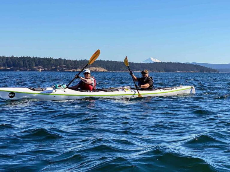 San Juan Island: Full Day Kayaking Tour with Lunch - Who Will Love This Tour?