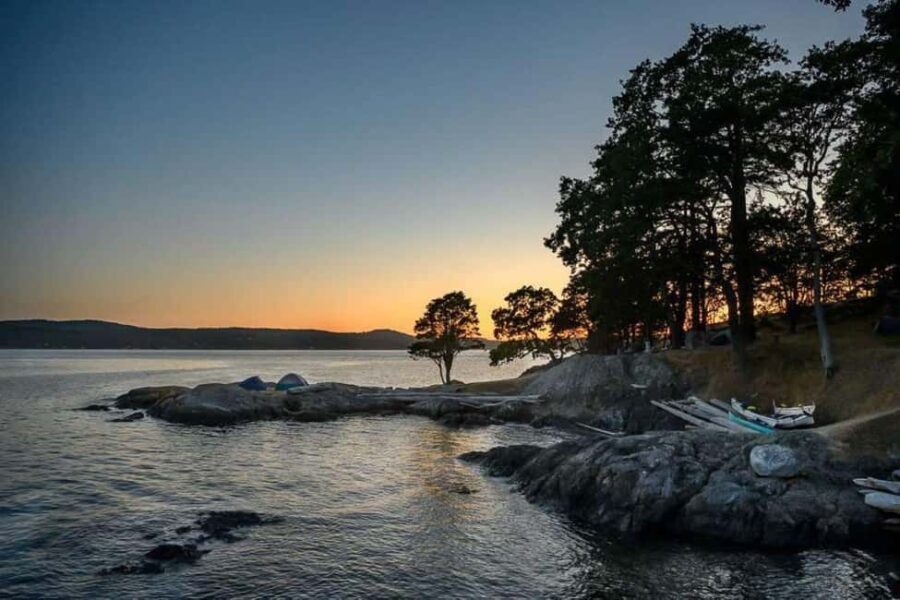 San Juan Island: Half- or Full-Day Lime Kiln Kayak Tour - Key Points
