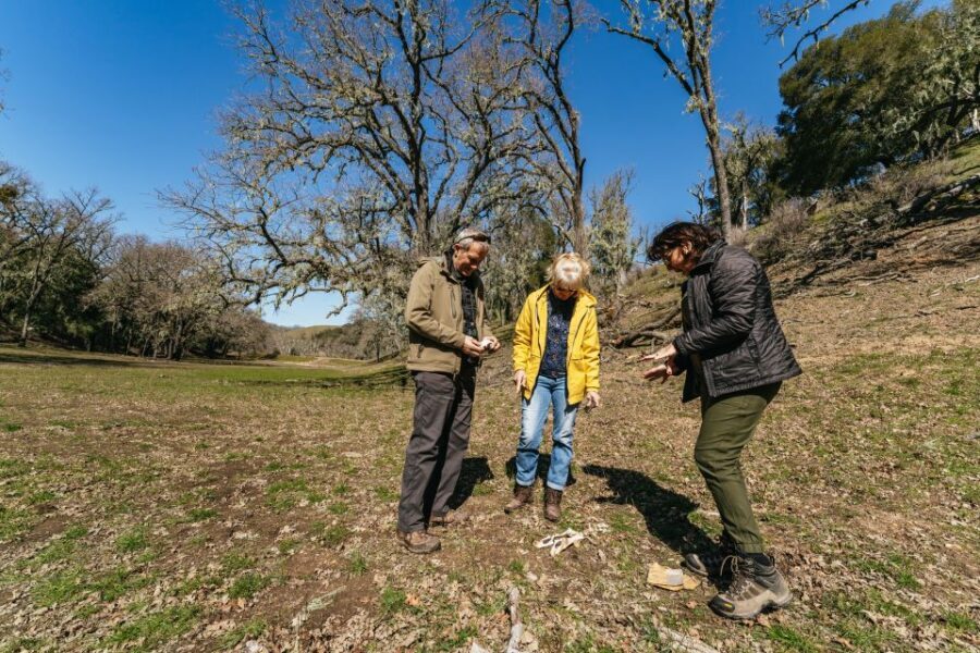 San Luis Obispo: Santa Lucia Guided Nature Tour - The Off-Road Experience