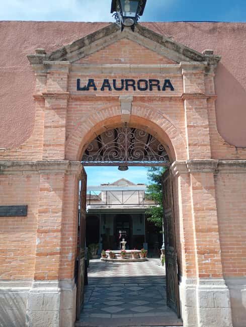 San Miguel de Allende Day Tour From Mexico City - Who Is This Tour Best For?