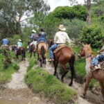 San Miguel de Allende: Full-Day Ranch Adventure - Why Travelers Keep Coming Back