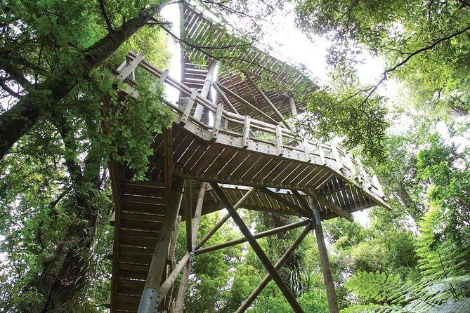Sanctuary Mountain (Mt Maungatautari) & Hamilton Gardens Day trip from Auckland - What Makes This Tour Stand Out?