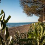 Sandy Shores Shuttle: Your Gateway to Kourouta Beach - A Deep Dive Into the Kourouta Beach Shuttle Experience