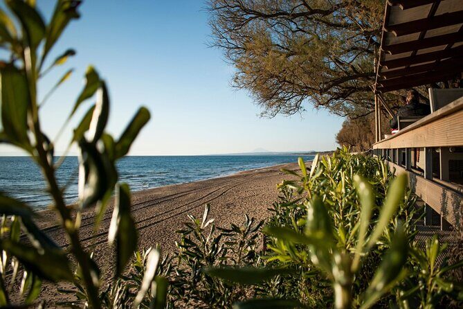 Sandy Shores Shuttle: Your Gateway to Kourouta Beach - A Deep Dive Into the Kourouta Beach Shuttle Experience
