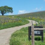 Santa Barbara: E-bike wine tour w/ transport, tasting, lunch - What Makes This Tour Stand Out?