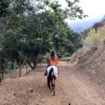 Santa Barbara: Horseback Riding and Wine Tasting Tour - The Sum Up