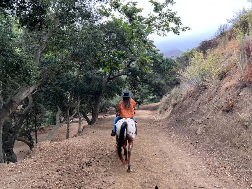 Santa Barbara: Horseback Riding and Wine Tasting Tour - The Sum Up