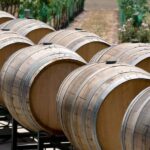 Santa Barbara: Wine Country Tour with Lunch - The Wines and the Experience