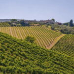 "Santa Chiara" wine tasting - Palagetto winery - Practical Details and Tips