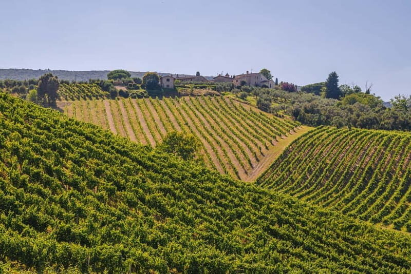"Santa Chiara" wine tasting - Palagetto winery - Practical Details and Tips