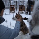 Santa Claus Village, Husky and Reindeers Combo Safari - Who Should Consider This Tour?