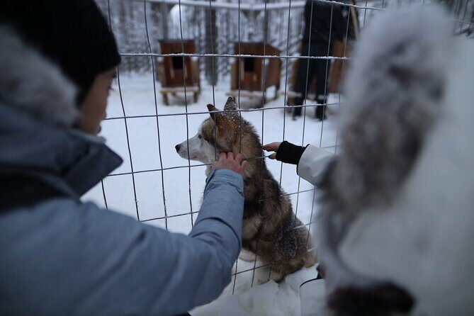 Santa Claus Village, Husky and Reindeers Combo Safari - Who Should Consider This Tour?