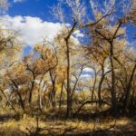 Santa Fe E-bike Adventure Private Half-Day Tour - Who Would Enjoy This Tour?