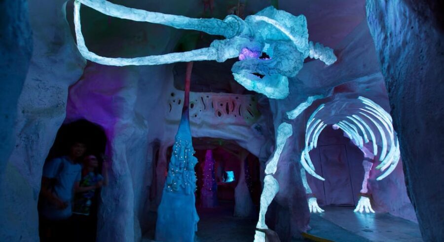 Santa Fe: Meow Wolf The House of Eternal Return Ticket - Practical Details for Your Visit