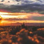 Santa Fe Private Walking Tour: Hidden Gems & Historic Charm - FAQ