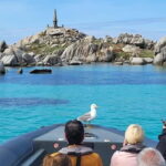 Santa-Giulia: Half-day trip, Lavezzi Islands and Bonifacio cliffs - Detailed Review of the Experience