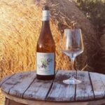 Santa Maria Imbaro: La Vinarte Wine tour - Who Will Love This Tour?