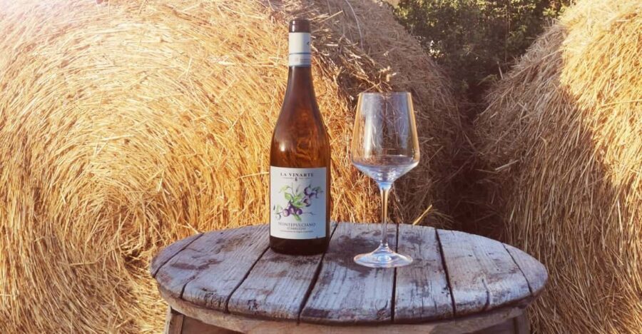 Santa Maria Imbaro: La Vinarte Wine tour - Who Will Love This Tour?