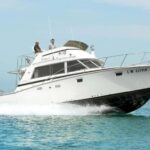 Santa Teresa: Speedboat tour around Lavezzi and Piana Island - The Sum Up