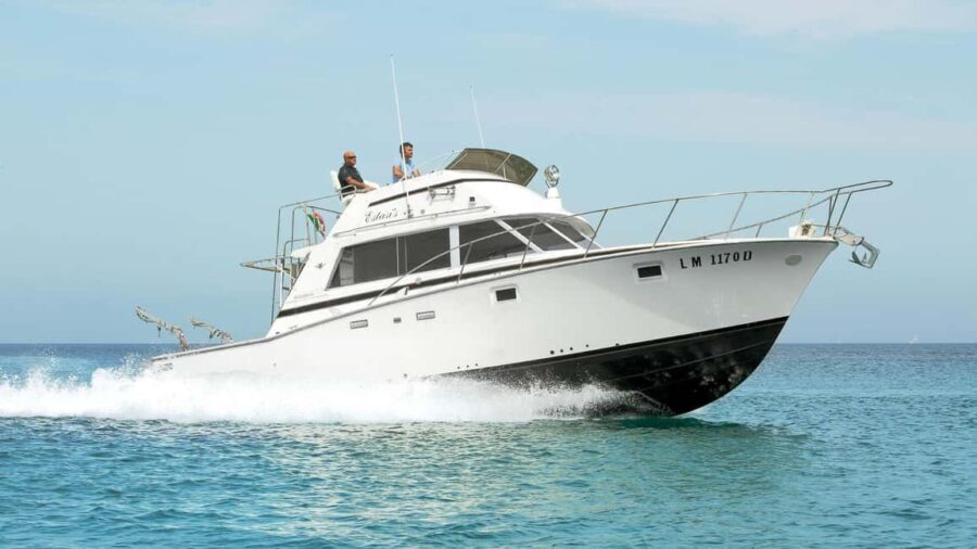 Santa Teresa: Speedboat tour around Lavezzi and Piana Island - The Sum Up