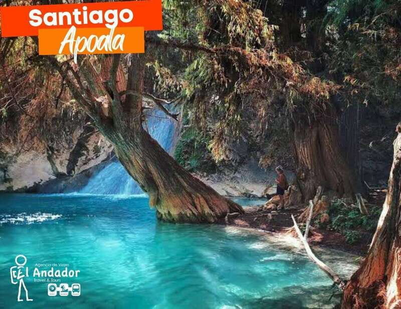 Santiago Apoala: Mountain Paradise Tour - Who Is This Tour Best For?