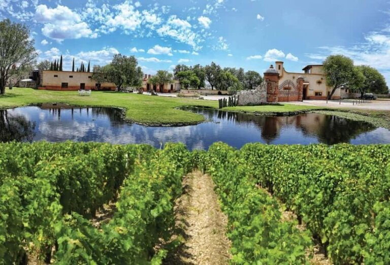 Santiago de Querétaro: Pueblos Mágicos Cheese and Wine Route - Who Should Consider This Tour?