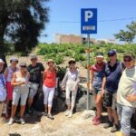 Santorini 5 Hours Sightseeing Tour - Who Should Book This Tour?