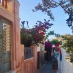 Santorini Essentials Half Day Private Sightseeing Tour - What You’ll Experience During the Tour