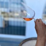 Santorini Fun day: Horseriding- Wine Tasting - Tapas - Who Will Love It?
