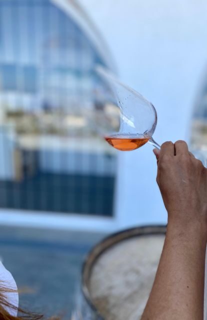 Santorini Fun day: Horseriding- Wine Tasting - Tapas - Who Will Love It?