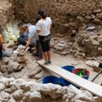 Santorini HISTORY & ARCHEOLOGY Tour (up to 8 guests) - Who Would Love This Tour?