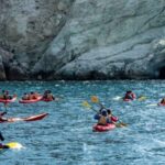 Santorini: Sea Kayaking with Light Lunch - Why This Tour Is a Great Value