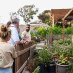 Santorini Sightseeing: Private Tour with Farm Lunch - Discovering Santorini: A Detailed Look at the Private Sightseeing Tour