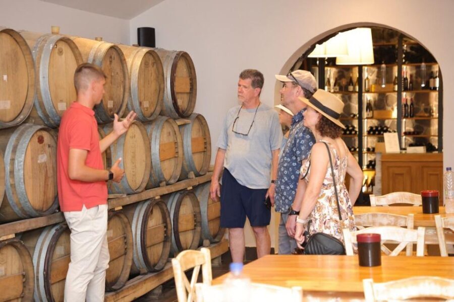Santorini: Vineyard and Winery Tour with Cooking Class - What Makes This Tour Stand Out