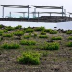 Santorini Wine Tasting and Sunset Getaway Small Group Tour - Final Thoughts