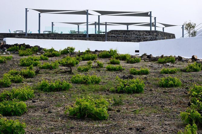 Santorini Wine Tasting and Sunset Getaway Small Group Tour - Final Thoughts