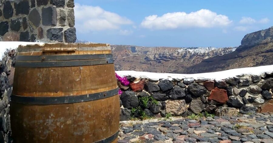 Santorini: Wine Tasting Tour - Who Will Love This Tour?