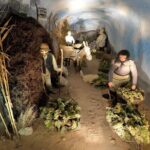 Santorini_Gastronomy gems Tour - What’s Included and What’s Not
