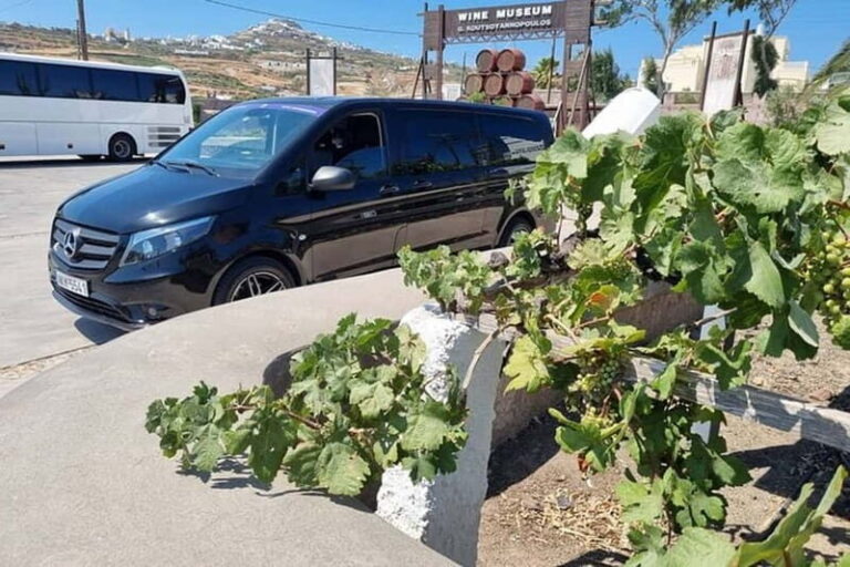 Santorini's "Wine Roads": Private Wine Tour With Tastings - Who Is This Tour Best For?