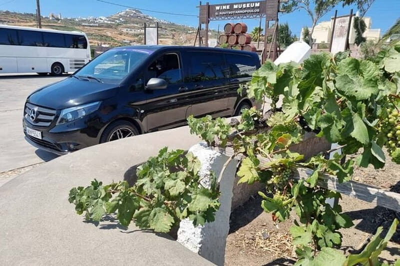 Santorini's "Wine Roads": Private Wine Tour With Tastings - Who Is This Tour Best For?
