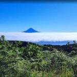 São Jorge: Island, Forest Reserve & Fajãs Guided Tour - The Experience of a Small, Private Group