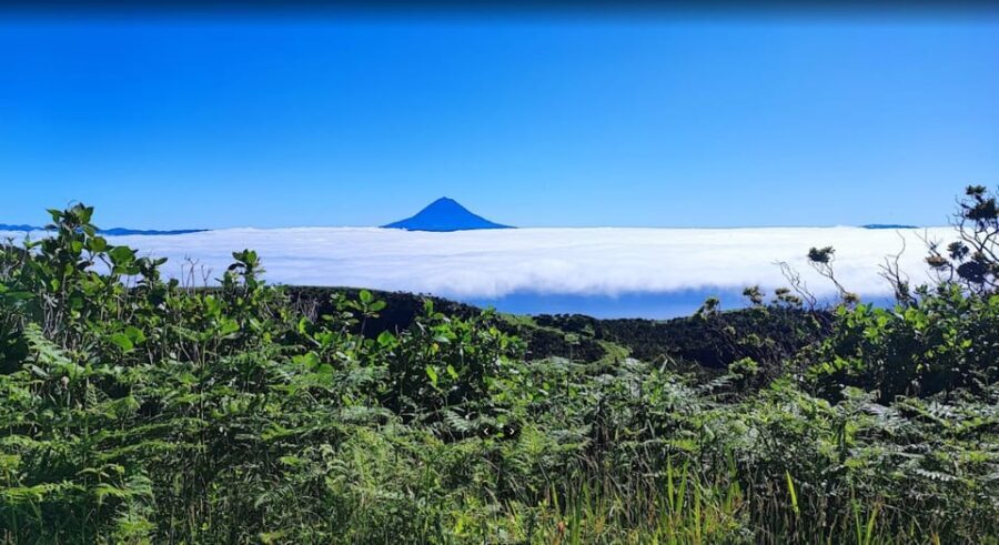 São Jorge: Island, Forest Reserve & Fajãs Guided Tour - The Experience of a Small, Private Group