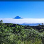 São Jorge Island Panoramic Adventure  4 Hour Tour - What to Expect at Each Stop