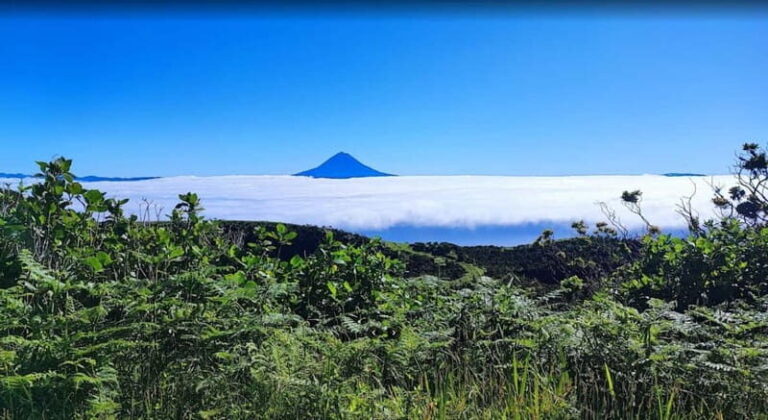 São Jorge Island Panoramic Adventure  4 Hour Tour - What to Expect at Each Stop