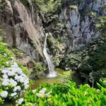 São Miguel Azores: Hike and Snorkeling with a local - The Tour’s Core Appeal: Nature in Its Purest Form