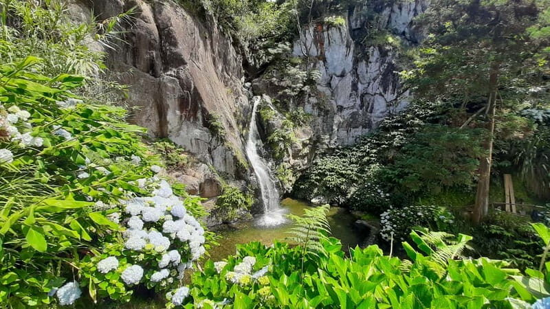 São Miguel Azores: Hike and Snorkeling with a local - The Tour’s Core Appeal: Nature in Its Purest Form